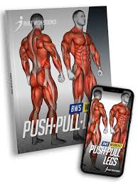 push pull legs routine pdf