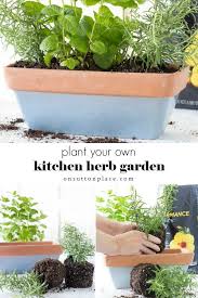 Small Herb Garden For The Kitchen