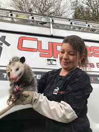 However, in some cases, opossums can become we are one of the largest independently owned pest control companies in north carolina. Opossums Pest Control Service Houston Texas