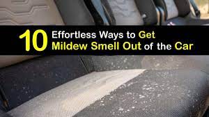 how to get a mildew smell out of the car