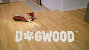 hardwood flooring dogwood pro