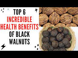black walnuts benefits