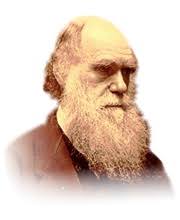 Libro el origen de las especies charles darwin pdf es uno de los libros de ccc revisados aquí. Charles Darwin Libros De Charles Darwin