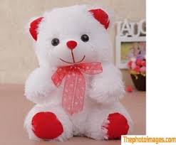 35 teddy day image free 2022