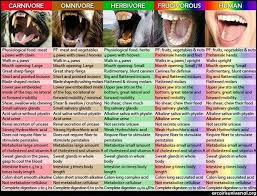 I Never Get The Teeth Argument Vegan Vegetarian Vegan