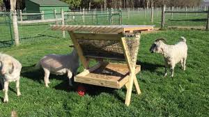 a new goat feeder lucky penny acres