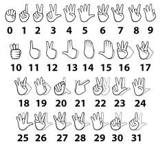 0 To 31 Sign Language Sign Language Alphabet Asl Sign