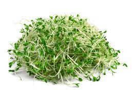 alfalfa sprouts nutrition facts eat