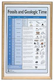 American Educational Products Fossils And Geologic Time
