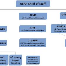 Afms Organization Chart Download Scientific Diagram