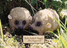 Haggis forms an integral part of the burns supper celebrations that take place around the world each year on 25 january, when scotland's national poet robert burns is commemorated. Gs Avanti Newsletter Haggis Neeps And Tatties