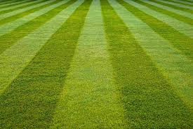 how to stripe your lawn lawn care