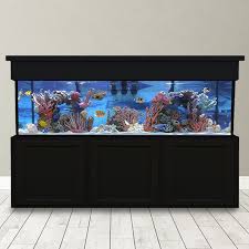 280 gallon r aquarium custom