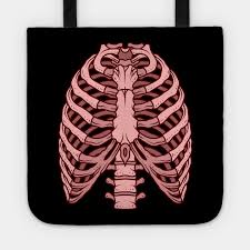Rib Cage Red