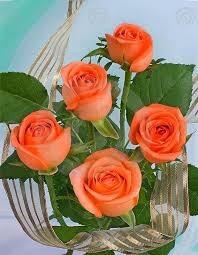 Good morning pink flower images. Beautiful Orange Rose Wallpaper Rose Flower Good Morning 620x800 Download Hd Wallpaper Wallpapertip