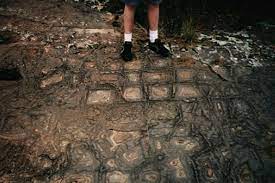 mysterious world winter 1998 carpet rocks