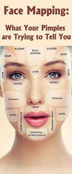 chinese face mapping the holistic skin