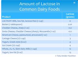 Common Misconceptions Of Lactose Intolerance Leah Roethel