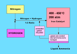 Habers Process For The Manufacture Of Ammonia Its Uses