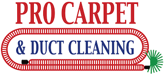 pro carpet duct cleaning clean