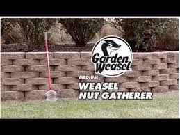 garden weasel um nut gatherer you