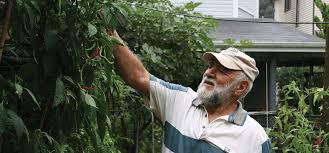 Mariano S Calabrian Chile Grow Pittsburgh