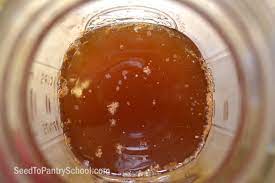 make kombucha with or without a scoby