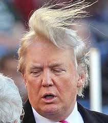 Image result for haircut Donald Trump