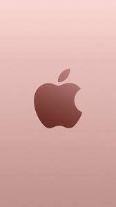Pin on Apple Fever!