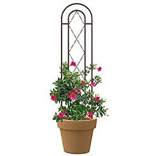 If you have a slow growing plant or one with small or sparse foliage, the standard trellis size calculation should be fine. Patio Lawn Garden Black Minitex Finish Fan Pot Trellis Border Concepts 72224 12 X 36 In Plant Support Structures