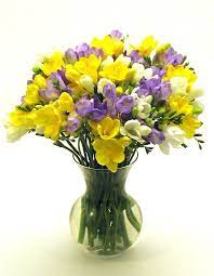 Purple and yellow flowers meaning. Pin On The Meaning Of Flowers