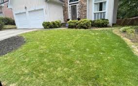 fitchburg ma lawn care mowing