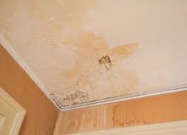Water Stain On Your Ceiling The