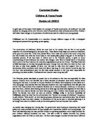 Sample Observation Essay  Child Development Essay   Research La Famille Goldini