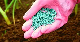5 10 10 fertilizer what is it how to