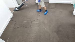 carpet cleaning venice fl