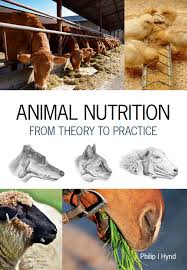nutrition from theory to