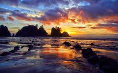 36 Best Washington State Beaches Images Washington State