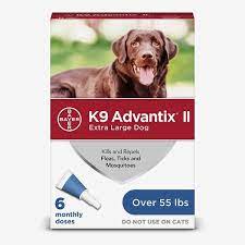 6 best tick treatments for dogs the