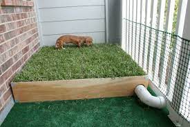 Outdoor Dog Potty Area On Concrete