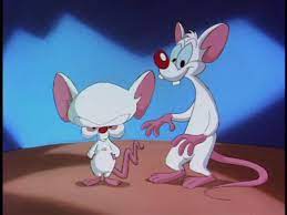 Pinky and the brain , brain abuses pinky. Pinky And The Brain Theme Warner Bros Entertainment Wiki Fandom