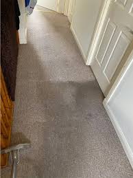 carpet cleaning macclean