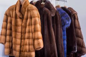 How To Your Fur Coat Morris