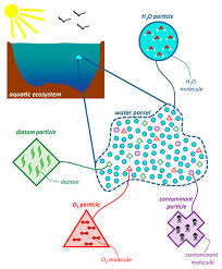 Processes In Coastal Aquatic Ecosystems