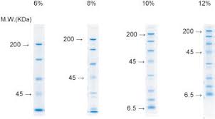 wide range gel preparation buffer