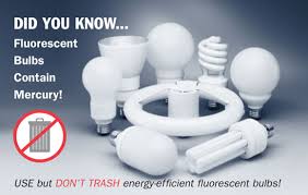 fluorescent bulb disposal bureau of