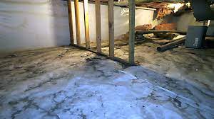 Is Crawl Space Encapsulation Worth The