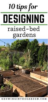 raised bed garden design tips growing
