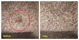best carpet cleaners for cat urine