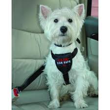 Clix Car Safe Dog Seatbelt Direct Vet